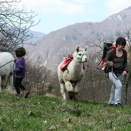 Il Capriolo Felice - * Lastebasse